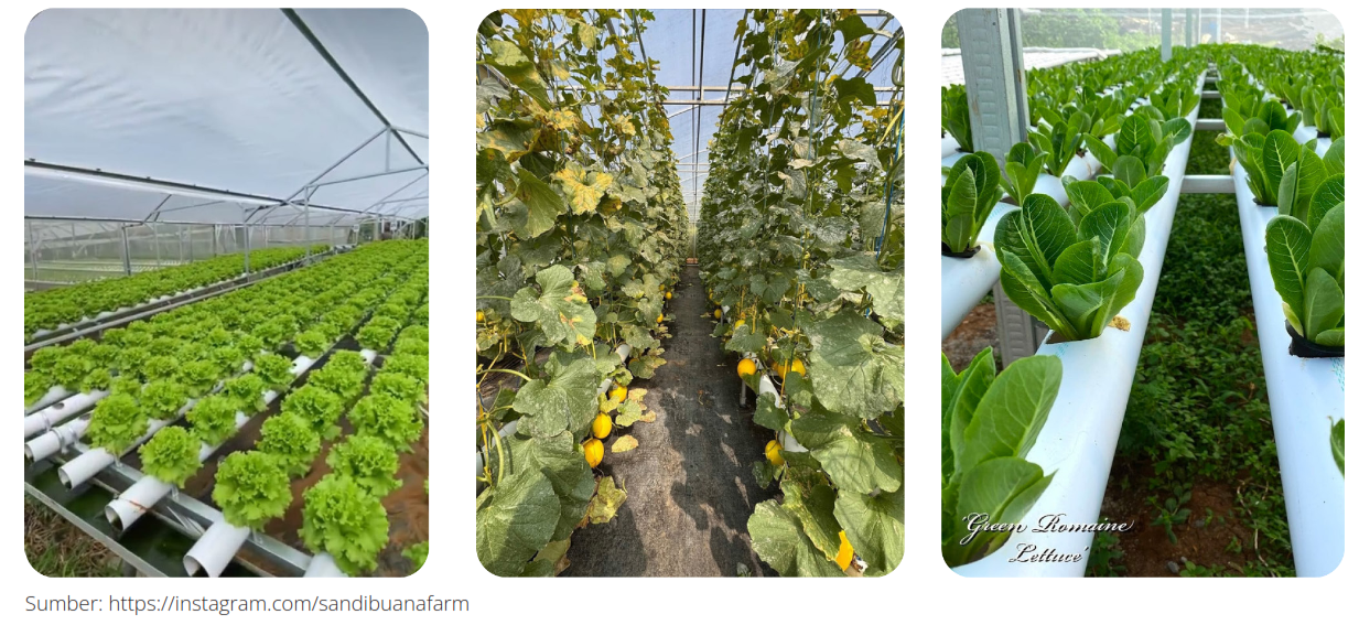 Sandibuana Farm